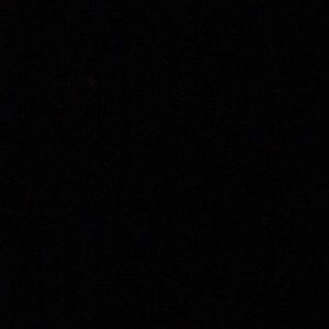 Meet your Posher, Joey